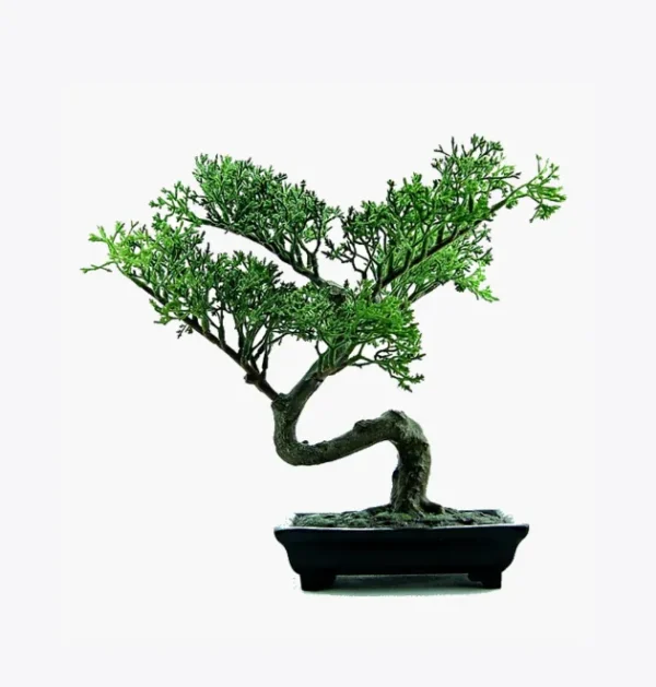 product-image-2_optimized